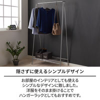 天馬 ポーリッシュ インテリア物干し ハンガーラック PSI-11 1セット（3個）