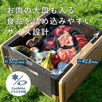 石山 折りたためるクーラーボックス オフブラック(蓋)×ブラウン(本体) 4546516100217 1個