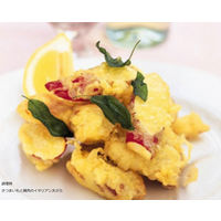 日清製粉ウェルナ 日清 コツのいらない天ぷら粉 揚げ上手 チャック付 (450g) ×2個