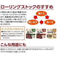 井村屋 レンジで簡単！おしるこ 沖縄県久米島「球美の塩」使用 150g 10袋 レンチン