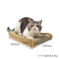 HappyDays ゴミが出にくいつめとぎベッド M 1セット（1個×2）ペットプロ