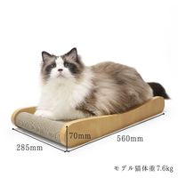 HappyDays ゴミが出にくいつめとぎベッド L 1セット（1個×2）ペットプロ