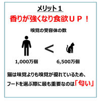 にゃんチュラル 香リッチ 鶏肉の豆乳チーズ風味 国産 40g 12袋 はごろもフーズ キャットフード パウチ