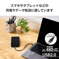 タイプCケーブル （USB-C to C） 15cm PD 100W シリコン 黒 MPA-CCECSS015BK エレコム 1個
