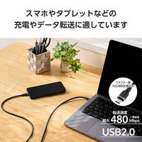 タイプCケーブル （USB-C to C） 2m PD 100W シリコン 黒 MPA-CCECSS20BK エレコム 1個（直送品）