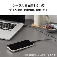 タイプCケーブル 2本セット （A to C/C to C） 2m ブラック MPA-CAECTW20BK エレコム 1個