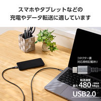 タイプCケーブル （USB-C to C） 2m PD 100W 高耐久 黒 MPA-CCECAN20BK エレコム 1個（直送品）