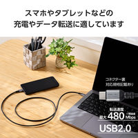 タイプCケーブル （USB-C to C） 1m PD 100W 高耐久 黒 MPA-CCECAN10BK エレコム 1個（直送品）
