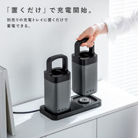 サンワサプライ USBPD対応ハンドル一体型モバイルバッテリー(67000mAh) BTL-RDC36 1個（直送品）