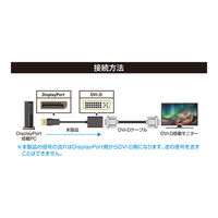ナカバヤシ DisplayPort-DVI 変換アダプタ DP-DVA1/BK 1本