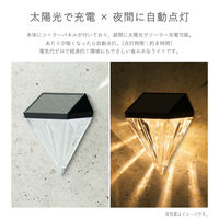 武田コーポレーション ウォールダイヤモンドカットソーラーライト KBDSL-01 1箱(12個入)（直送品）