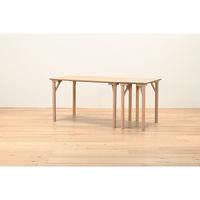 【軒先渡し】HIKARI ワークカフェダイニング ダイニングテーブル DLT-アリカ EX.-WDテンバン/ウッドレッグ 1台（直送品）