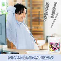 【アウトレット】ロッテ ふ～せんの実ボトル ワクワクみっくす！ 131g 1個 ガム