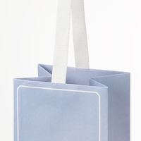 【限定デザイン】 グラデーションギフトバッグ BOTTLE 限定