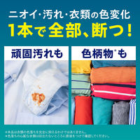 ナノックス ワン（NANOX one）PRO プロ 業務用 洗濯洗剤 濃縮 液体 詰め替え バックインボックス 10kg 1個 ライオン