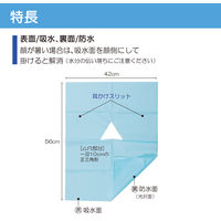 竹虎 三角穴フェイスガード II 007161 1箱(200枚入)