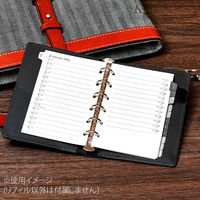 マルマン 【2025年版】リフィル ミニ データプラン 6穴 月間ダイアリー(見開き1ヶ月) LS472-25 1セット(1冊×2)（直送品）