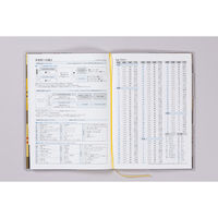 高橋書店 【2025年版】クレールインデックスグラン2 A5 月間 日曜始まり 377 1冊（直送品）