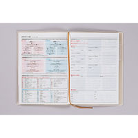 高橋書店 【2025年版】T'ファミリー手帳3 B6 月間+見開き2週間 月曜始まり リュクスクリーム 446 1冊（直送品）