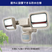 朝日電器 二面発光ACセンサーライト2灯 ESL-SS2002AC 1個