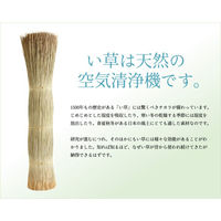 イケヒコ・コーポレーション 豊後 掛川織 い草カーペット 2610×2610mm ベージュ 1031170020402 1枚（直送品）