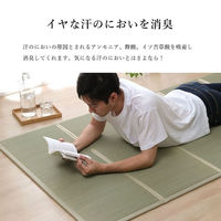 い草 ユニット 畳 軽量 抗菌防臭 消臭 防音 断熱性 お手入れ『畳マットレス』 1040130011014 1枚