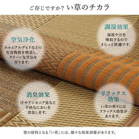 イケヒコ・コーポレーション 京刺子 い草ラグ 1910×1910mm ブラウン 1050110063604 1枚（直送品）
