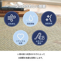 イケヒコ・コーポレーション リンク い草ラグ 1800×1800mm ブラウン 1061930063404 1枚（直送品）