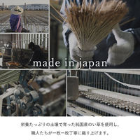 イケヒコ・コーポレーション ブロック い草ラグ ブロック調 2610×2610mm ライトグレー 1080460210502 1枚（直送品）