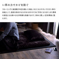 イケヒコ・コーポレーション マットレス 三つ折り 日本 国産 畳 カビ防止 置き畳 軽量 梅雨『フレア』 1110781031938 1枚（直送品）