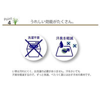 イケヒコ・コーポレーション い草 い草マット 国産 マット ごろ寝マット フリーマット『おばあちゃん』 1120510013501 1枚（直送品）