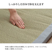 イケヒコ・コーポレーション 寝具 マット マットレス い草 国産 日本製 ボリューム 吸汗 調湿『すずか』 1122960133501 1枚（直送品）
