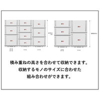 SANKA コンビネーションケース 52×30 ホワイト/ホワイト CBC-5230 WH/WH 1ケース(3個)（直送品）