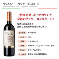 イタリア　肉に合う！ 旨濃いイタリア赤ワイン4本セット 1セット（750ml×4本）　モンテ物産 飲み比べ