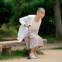 サンファミリー 折りたためる安心ステッキ ワイン 1本