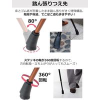 ストリックスデザイン 踏ん張りつえ先ステッキ太め伸縮BK抗菌 SB-029 1本