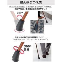 ストリックスデザイン 踏ん張りつえ先ステッキスリム伸縮BR抗菌 SB-031 1本