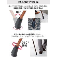 ストリックスデザイン 踏ん張りつえ先ステッキ太め伸縮BR抗菌 SB-030 1本