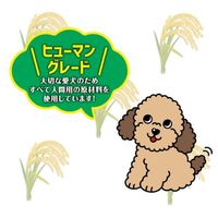お米チップス 国産 50g 1袋 スマック 犬用 おやつ