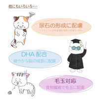 キャットスマック 子ねこ用 国産 1.8kg 1セット（1袋×3）スマック 猫用 おやつ