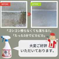 カビ落とし カビ取りキング500ml 4595317487034 1セット(1個×6)