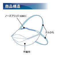 竹虎 サージマスクNー95(折りたたみ式)10枚入り 076078 1箱(10枚入)