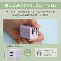 オウルテック PD20Wで超速充電可能 オーロラカラーのAC充電器 OWL-APD20A1C1R-AU 1個