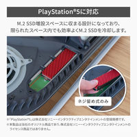 M.2 2280 SSD用 両面実装/片面実装対応 アルミ製両面ヒートシンク OWL-SSDHS04PS 1個