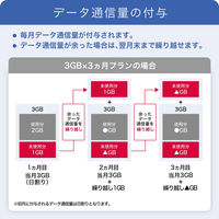 IIJモバイルサービス/タイプD for IIJmio Biz プリペイドSIM （ 40GB/6ヶ月 ） IM-B437 1枚（直送品）