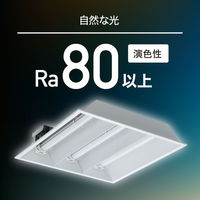 エコリカ FPLコンパクトLED 55形 昼白色 5000K 2200lm 工事必須タイプ ECL-FPL55FN 1個