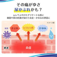 フェミニーナUP a 15g 小林製薬 尿かぶれ【第2類医薬品】