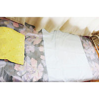 アーテック 【介護/医療】清拭 使い捨てシーツ 白 小 10枚入 051165 1ケース(1点×10))（直送品）