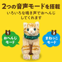 アーテック よんで!だっこして!おへんじアニマル 猫 051931 1ケース(1点×6))（直送品）