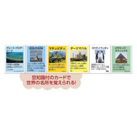 アーテック イベントグッズ わくわく世界旅行すごろく 003036 1ケース(1点×100))（直送品）